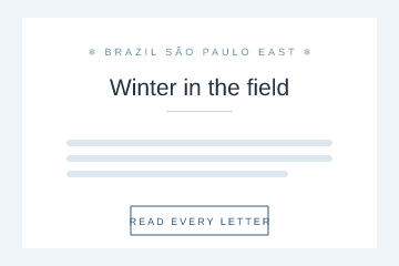 Winter: icy white page, centered serif headline, thin rules, outlined button